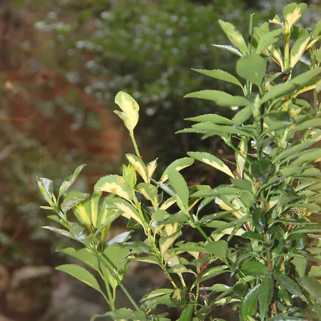 Ibis Avenue D'italie 13eme 3* París